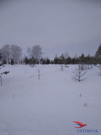 Земельный участок поселок Баженово в Геленджике - gelendzhik.yutvil.ru - фото 2