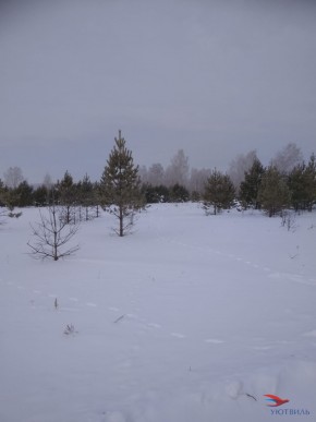 Баженово ул Южная д 7 в Геленджике - gelendzhik.yutvil.ru - фото 5 Баженово ул Южная д 7 в Геленджике - gelendzhik.yutvil.ru - фото 5