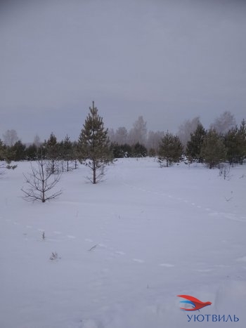 Земельный участок поселок Баженово в Геленджике - gelendzhik.yutvil.ru - фото 5
