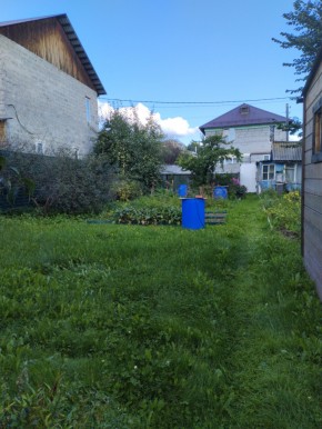 Коллективный сад номер 7, участок 58 в Геленджике - gelendzhik.yutvil.ru - фото 26