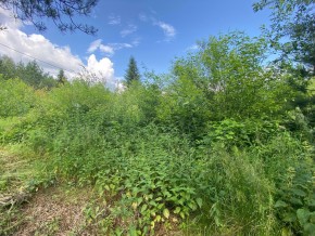 СПК Юбилейный, уч. 9 в Геленджике - gelendzhik.yutvil.ru - фото 13
