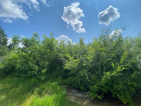 СПК Юбилейный, уч. 9 в Геленджике - gelendzhik.yutvil.ru - фото 15