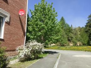 ул. Сосновая, 8 в Геленджике - gelendzhik.yutvil.ru - фото 25