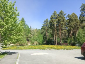 ул. Сосновая, 8 в Геленджике - gelendzhik.yutvil.ru - фото 26