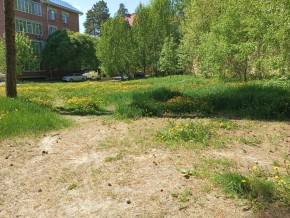 ул. Сосновая, 8 в Геленджике - gelendzhik.yutvil.ru - фото 33